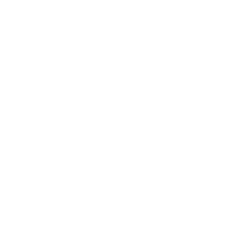 Roadmap icon