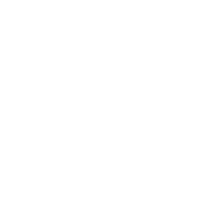 Token icon
